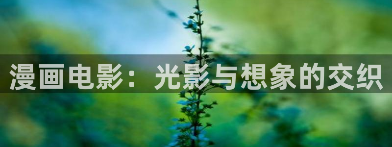 天天漫画黄